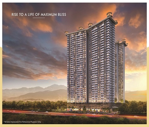 Maximus City Banner Image